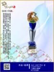  ALC-1067登高 